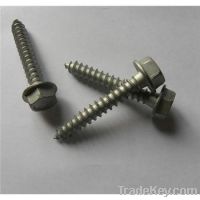 Sell self-tapping screw