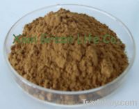 Sell Plant Lemon Balm Extract Powder P.E.