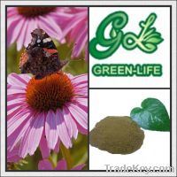 Sell Echinacea Purpurea Juice Concentrate 45:1