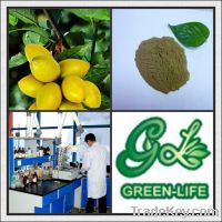 Sell Olive Leaf Extract Powder P.E.