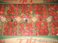 Sell strawberries