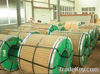Sell 304 stainless steel coil