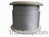 Sell Stainless Steel Wire Rope
