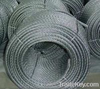 Sell Galvanized Wire Rope