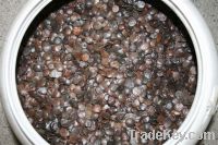 Sell Wisteria sinensis seed