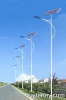 Solar&Wind street light