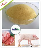 Lipase enzyme(for feed additive)