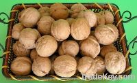 Sell walnut
