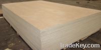 Sell  birch plywood