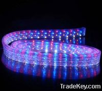 Sell LED Neon Light PNF502 7.2W/m