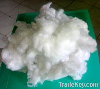 Sell acrylic recycled fiber