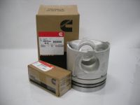 3631245 PISTON KIT