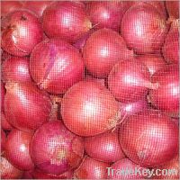 FRESH RED AND WHITE ONIONS
