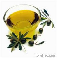 Soya Beans Oil