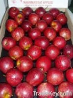 Top Red Apples