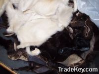 Sell Rabbit Fur Scraps