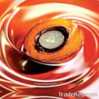 CRUDE PALM OIL (CPO), CP10, KEROSENE - Malaysia Origin TO OFFER