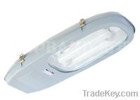 Sell induction street light