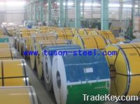 SUS304 316 stainless steel sheet/coil