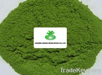 Sell Dehydrated Spinach Powder