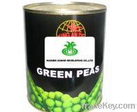 Sell Green pea canned