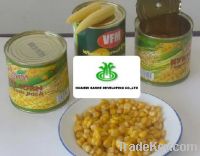 Sell Sweet corn canned