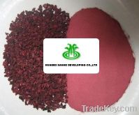 Sell Beet Root powder