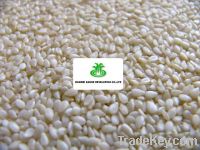 Sell white hulled sesame seed