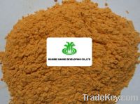 Sell Dehydrated Carrot Powder B level