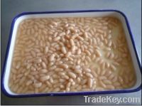 Canned White Kidney Beans