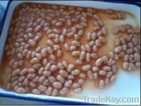 Canned White Kidney Beans(baked beans) in tomato sauce