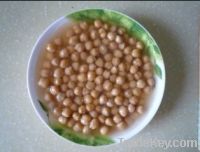 Canned Chick Beans
