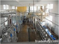 Sell Yam starch production line
