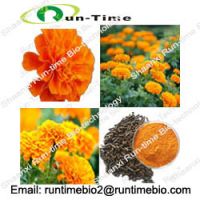 Sell Marigold P.E. with lutein 5% to 98%