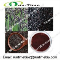 Sell Black rice with Anthocyanins  UV 25%