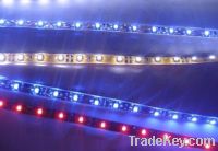 Sell LED SMD Flexible Strip