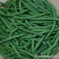 Sell Green Bean Cuts