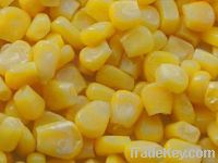 Sell IQF sweet corn kernels