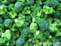 Sell Frozen Broccoli Florets
