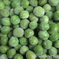 Sell IQF Green Peas