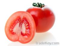 Sell  lycopene