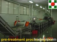Sell strawberry quick freezing processing line