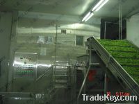 Sell asparagus pretreatment production line for quick freezer