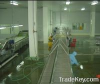 Sell pre-treatment processing line for quick-frozen vegetable