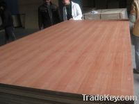 Sell Fancy Veneered MDF