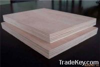 Sell Commercial Plywood