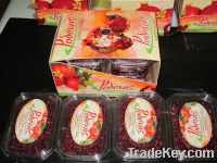 Sell Pomegranate Arils(kernels)