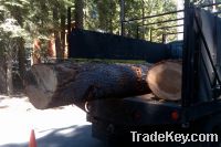 Sell white fir and douglas fir logs