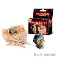 Pirate Skull dig kit