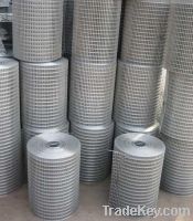 Sell Galvanized Welded Mesh